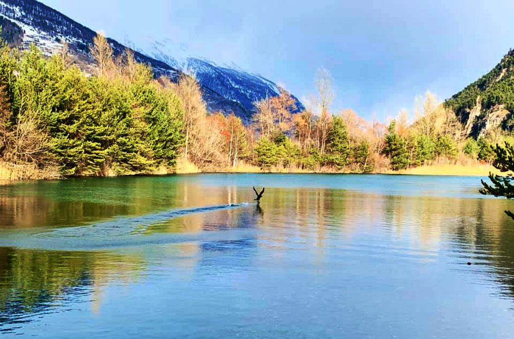 Decollo del cormorano al lago Orfù di Oulx (Giorgio Dalla Valle)